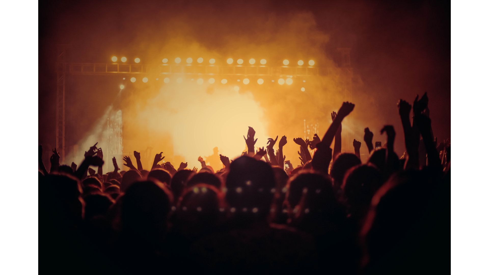 Concerts & Festivals